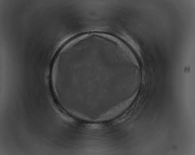 X0000095530107200801041255