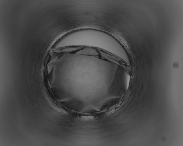 X0000095530108200801041255