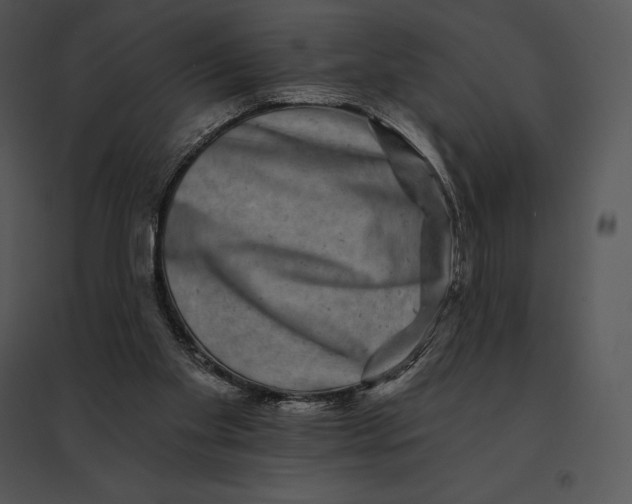 X0000095530109200801041255