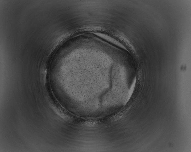 X0000095530110200801041255