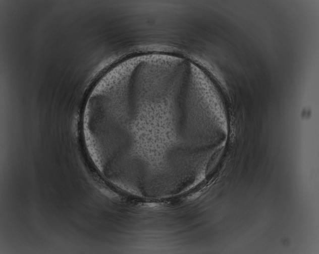 X0000095530111200801041255