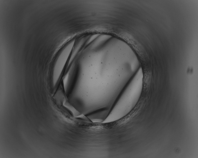 X0000095530112200801041255