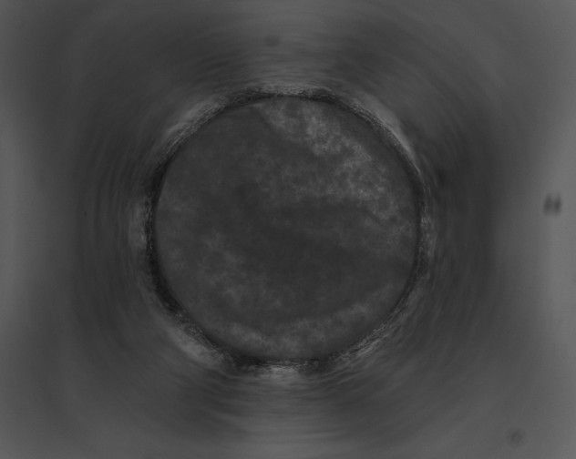 X0000095530114200801041255