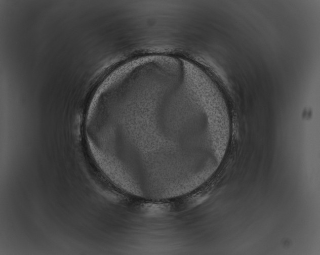 X0000095530115200801041255