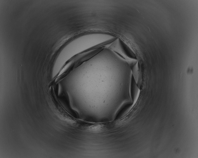 X0000095530116200801041255