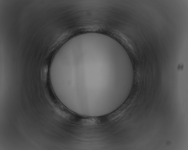 X0000095530118200801041255