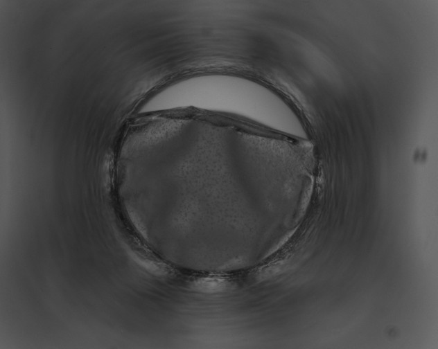 X0000095530119200801041255