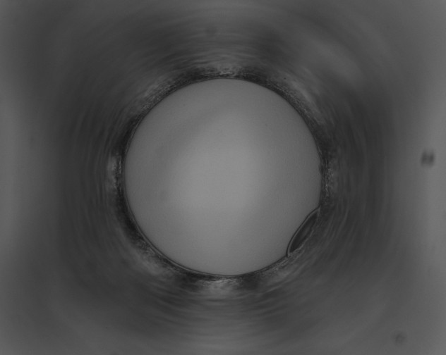 X0000095530122200801041255