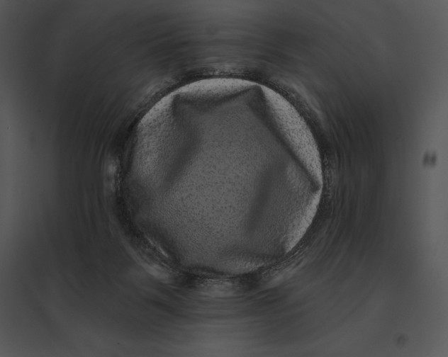 X0000095530123200801041255