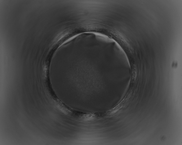 X0000095530124200801041255