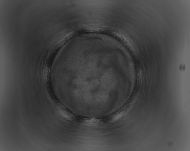 X0000095530125200801041255