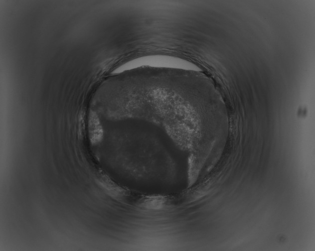 X0000095530127200801041255