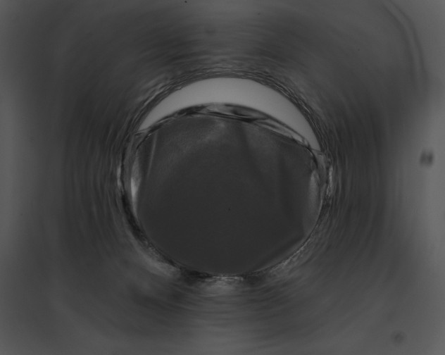 X0000095530128200801041255