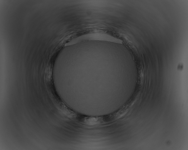 X0000095530129200801041255