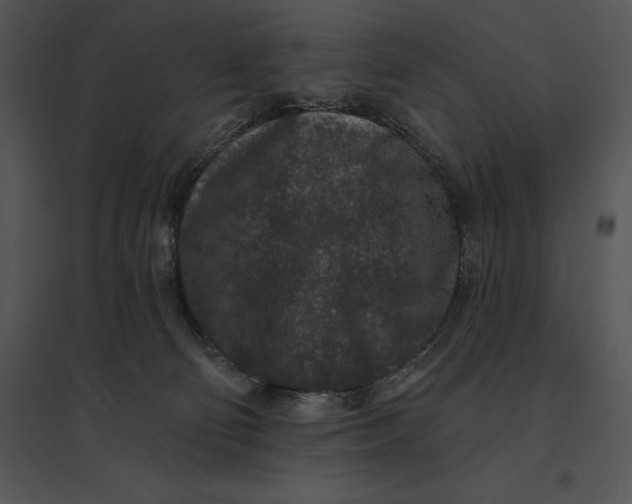 X0000095530130200801041255