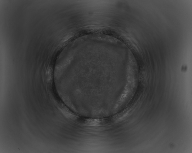 X0000095530131200801041255