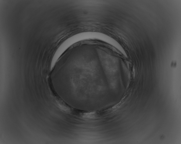 X0000095530132200801041255