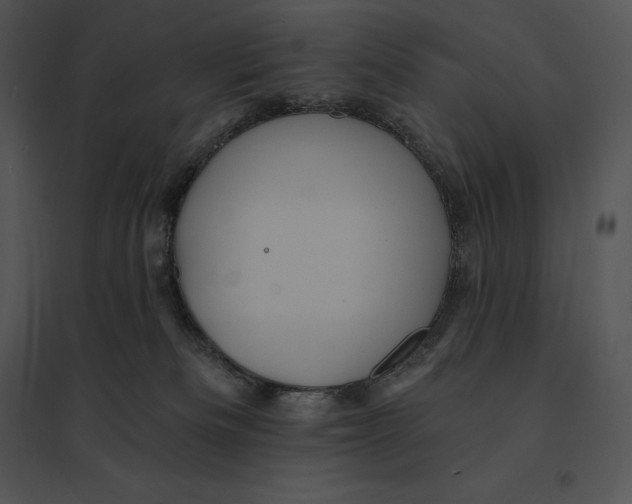 X0000095530133200801041255