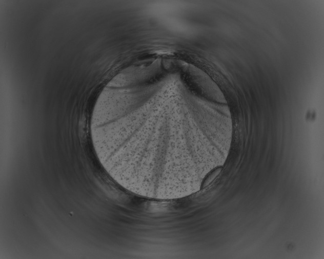 X0000095530134200801041255