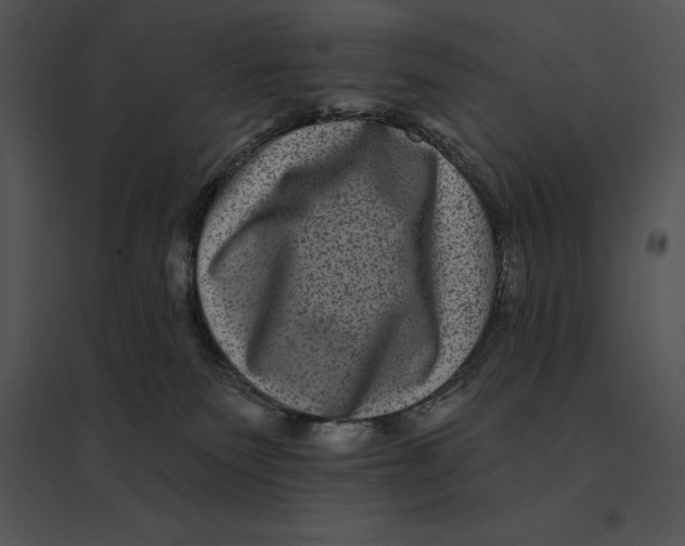 X0000095530135200801041255