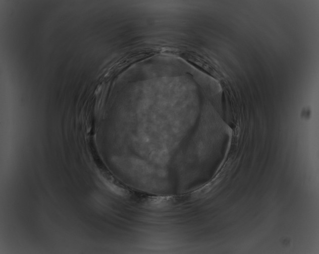 X0000095530136200801041255