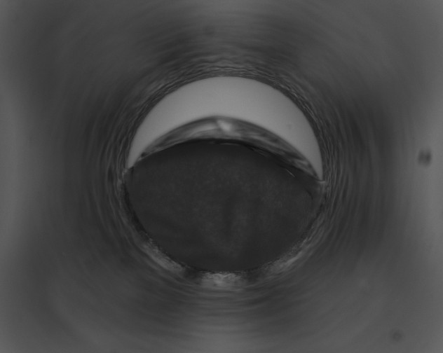 X0000095530137200801041255