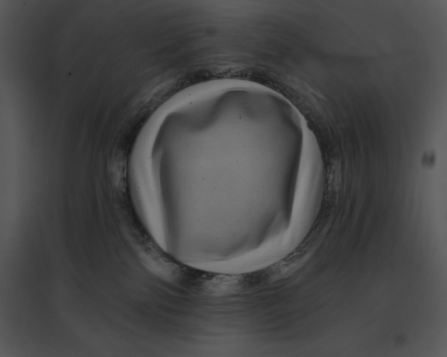 X0000095530138200801041255