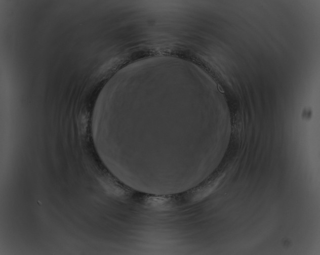 X0000095530139200801041255