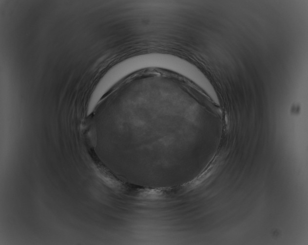 X0000095530140200801041255