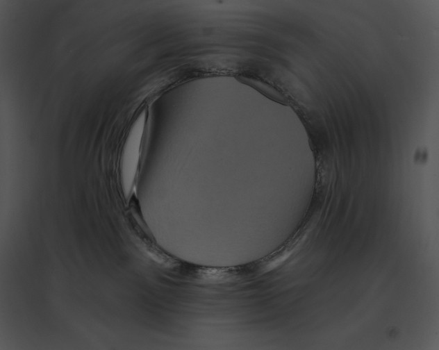 X0000095530141200801041255