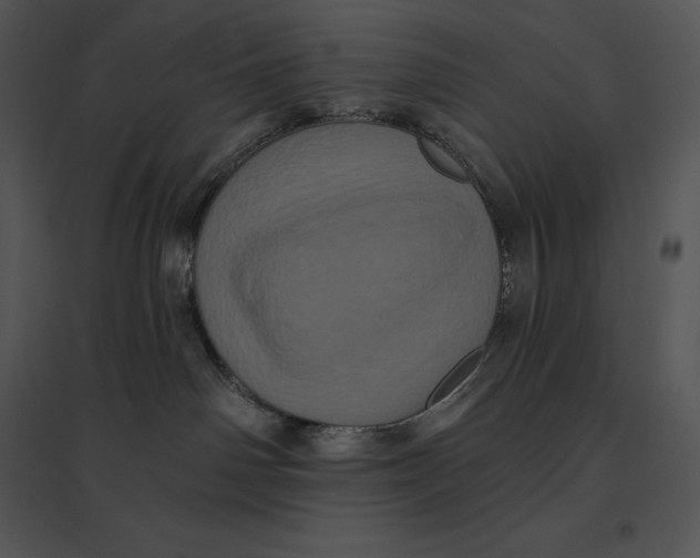 X0000095530142200801041255