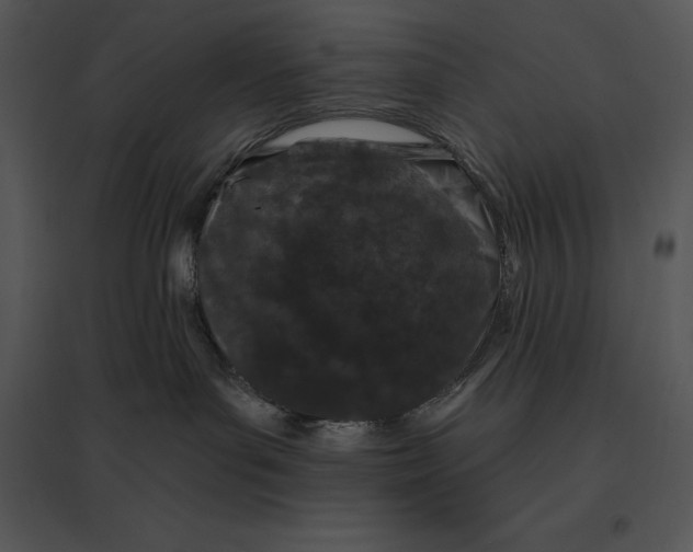 X0000095530143200801041255