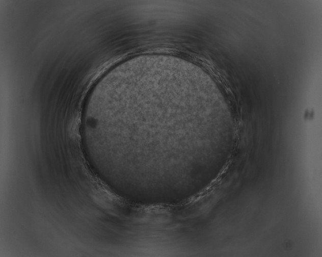 X0000095530146200801041254