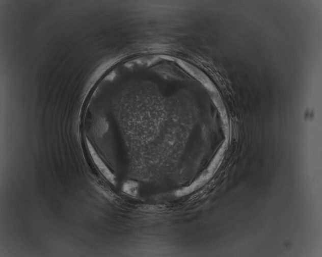 X0000095530147200801041254