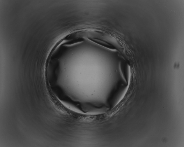 X0000095530148200801041254