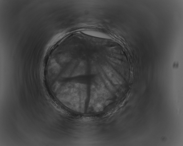 X0000095530149200801041254