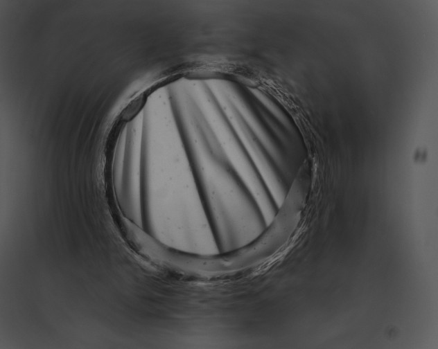 X0000095530150200801041254