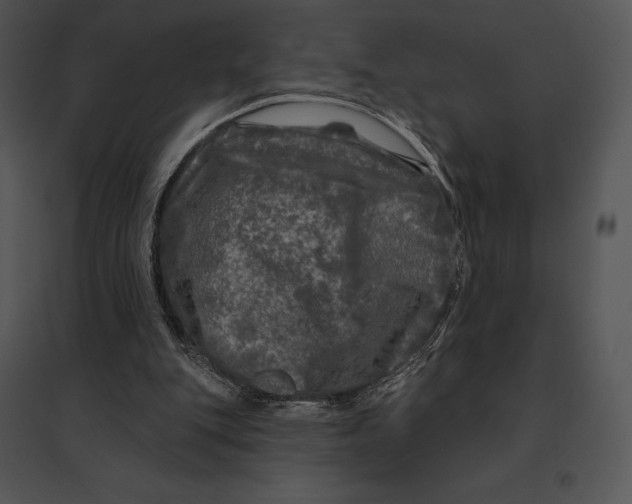 X0000095530151200801041254