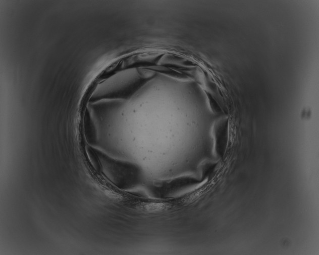 X0000095530152200801041254