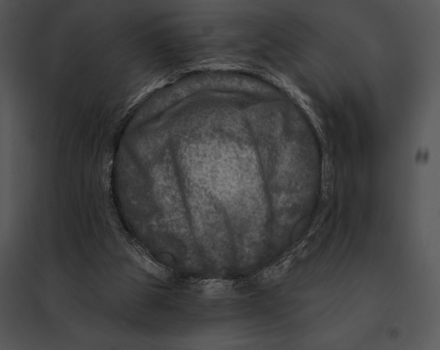 X0000095530153200801041254