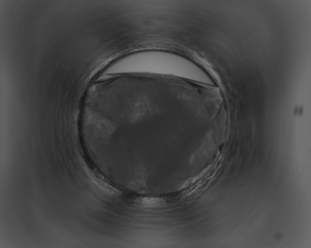 X0000095530154200801041254