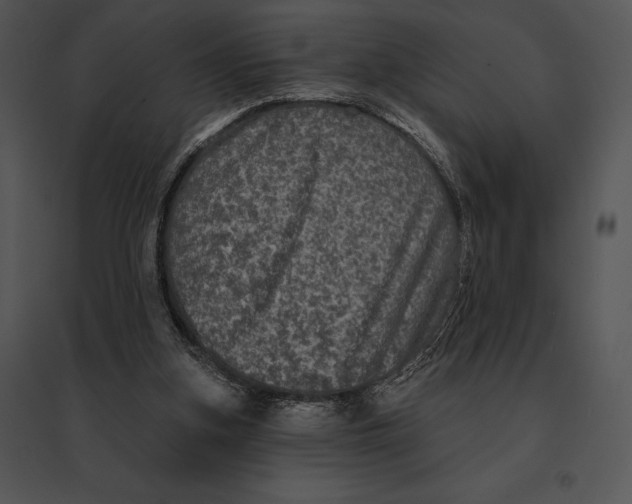 X0000095530155200801041254