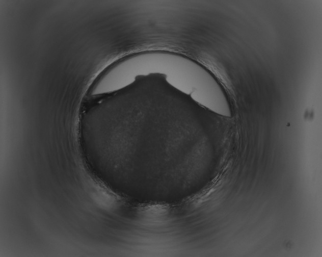 X0000095530156200801041254