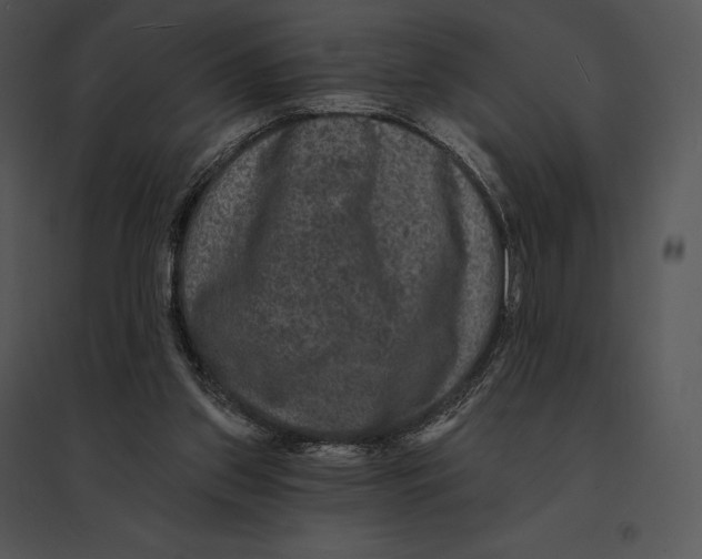 X0000095530157200801041254