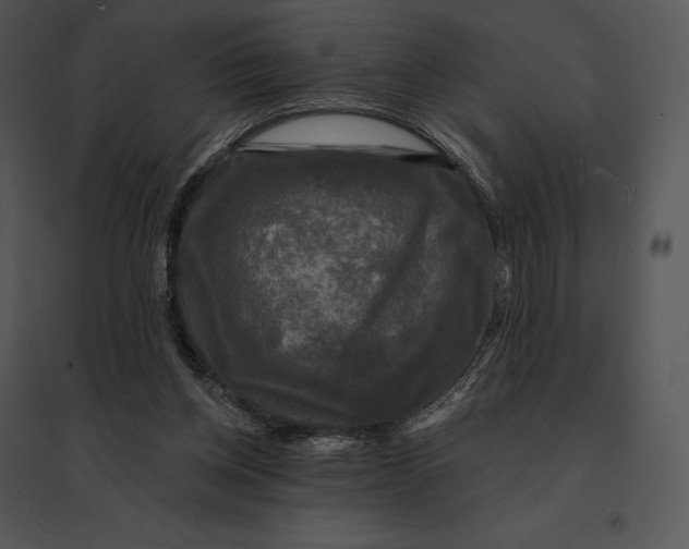 X0000095530158200801041254