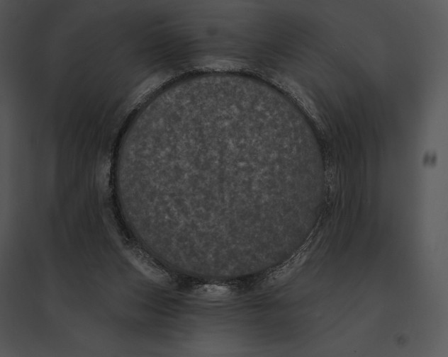 X0000095530159200801041254