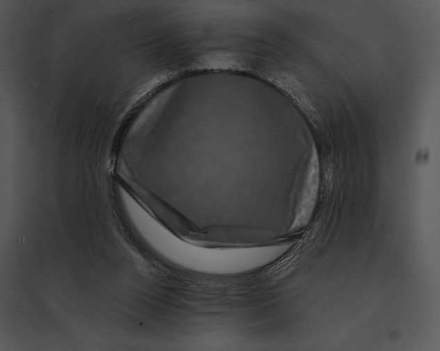 X0000095530160200801041254