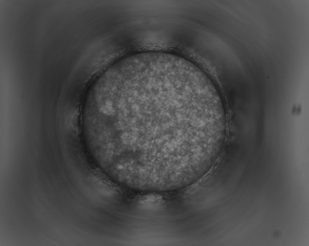 X0000095530162200801041254