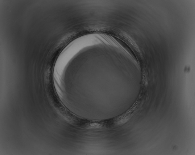 X0000095530163200801041254