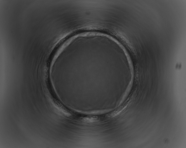 X0000095530164200801041254